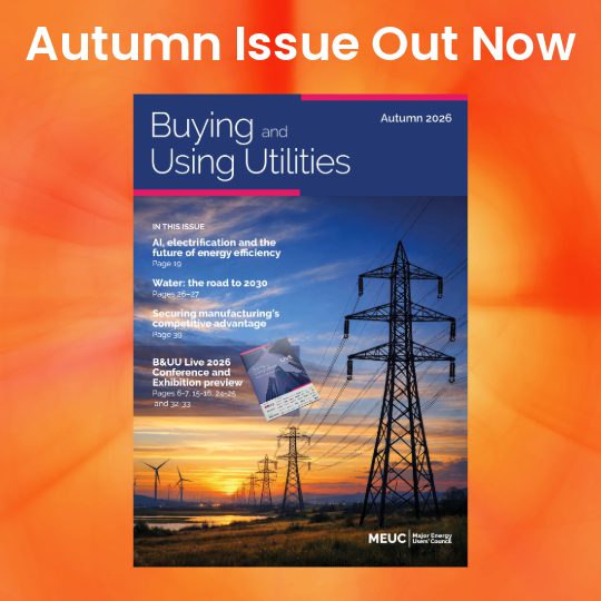 Buying and Using Utilities